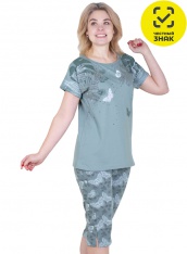 ������ - �-172 ������ �����