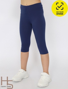 Бриджи Бриджи