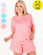 ������ - ������ ������� ����� �-311