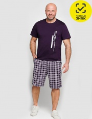 ������ - �������� ������� ��-17-04(61)