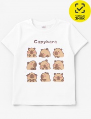 �������� - ������� 0954103605