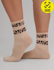 ����� - CLE ����� ���.�5622 (��.�������)