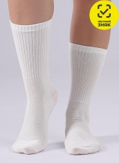 ����� - CLE ����� ������� S240 (�����)