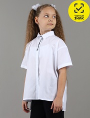  - CWJG 64195-20K   