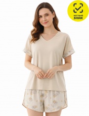 ������ - ������ ������� WPJ2004 �������