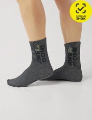 ����� - CLE ����� ��� �������� �1529 (������ �.�����)