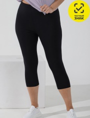 ������ - ��-008 ������ "������-4" (ר����)