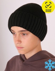  - G-01-96 ()    ,  