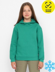 Толстовка - CWJG 63683-37 Толстовка для девочки Толстовка - CWJG 63683-37 Толстовка для девочки