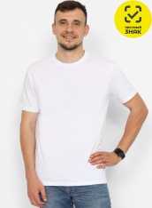  - FASM 60079-20K   