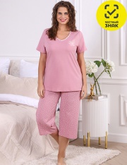 ������ - �-449 ������ ������� ����-2 (����� ����)