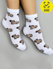 ����� - �-�488-2 ����� ������������ (�����)