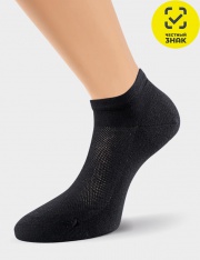 ����� - CLE ����� ������� �146 (������)