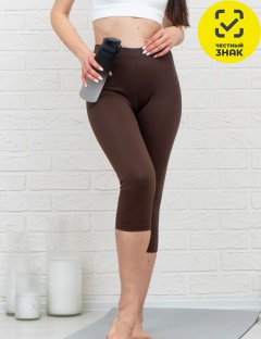 Бриджи Бриджи